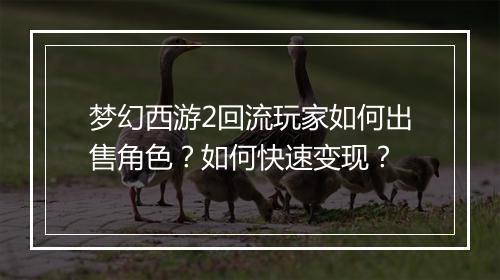 梦幻西游2回流玩家如何出售角色?如何快速变现?