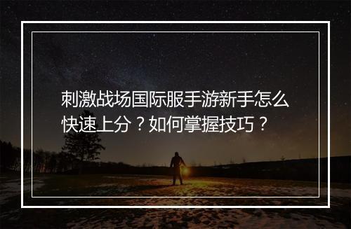 刺激战场国际服手游新手怎么快速上分？如何掌握技巧？