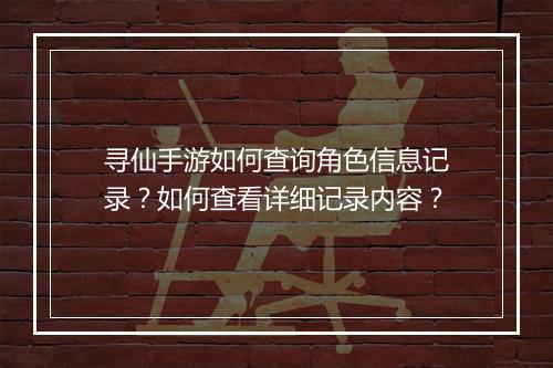 寻仙手游如何查询角色信息记录？如何查看详细记录内容？