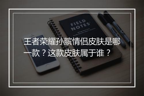 王者荣耀孙膑情侣皮肤是哪一款？这款皮肤属于谁？