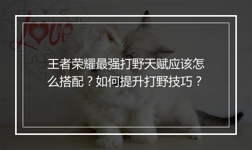 王者荣耀最强打野天赋应该怎么搭配?如何提升打野技巧?