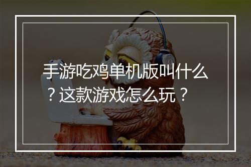 手游吃鸡单机版叫什么？这款游戏怎么玩？