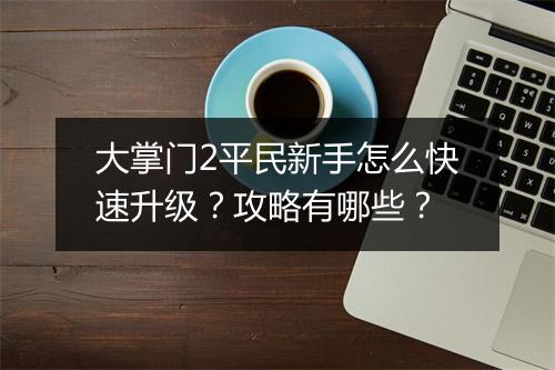 大掌门2平民新手怎么快速升级?攻略有哪些?