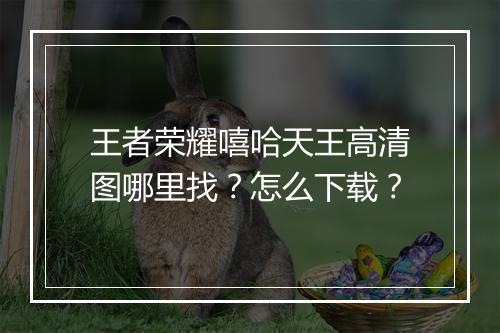 王者荣耀嘻哈天王高清图哪里找？怎么下载？