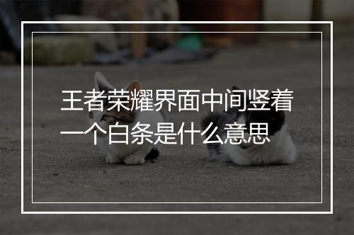 王者荣耀界面中间竖着一个白条是什么意思