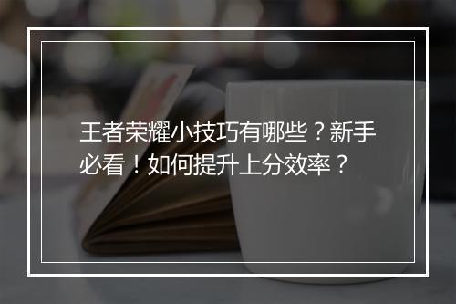 王者荣耀小技巧有哪些?新手必看!如何提升上分效率?
