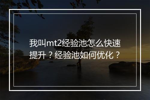 我叫mt2经验池怎么快速提升?经验池如何优化?