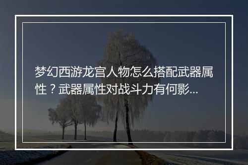 梦幻西游龙宫人物怎么搭配武器属性?武器属性对战斗力有何影响?