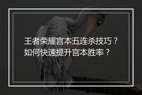 王者荣耀宫本五连杀技巧？如何快速提升宫本胜率？