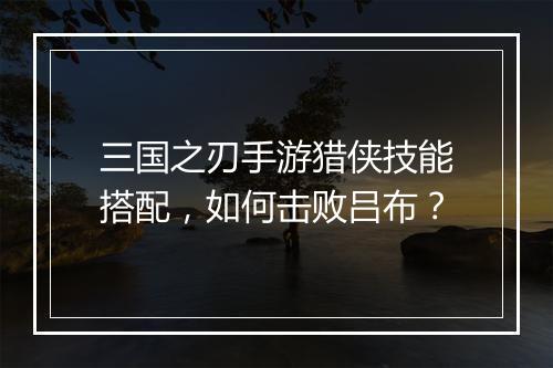 三国之刃手游猎侠技能搭配,如何击败吕布?