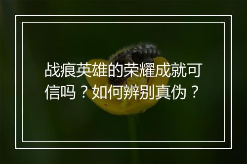 战痕英雄的荣耀成就可信吗？如何辨别真伪？