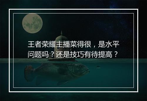 王者荣耀主播菜得很,是水平问题吗?还是技巧有待提高?