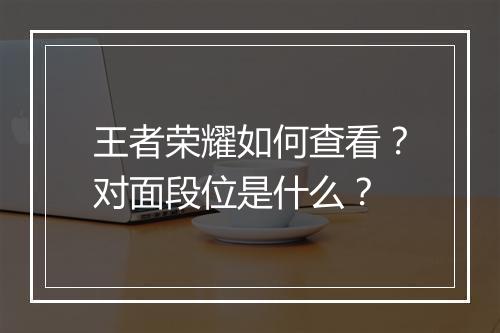 王者荣耀如何查看？对面段位是什么？