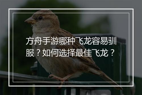 方舟手游哪种飞龙容易驯服？如何选择最佳飞龙？