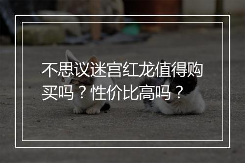 不思议迷宫红龙值得购买吗？性价比高吗？