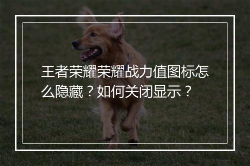 王者荣耀荣耀战力值图标怎么隐藏？如何关闭显示？