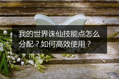 我的世界诛仙技能点怎么分配？如何高效使用？