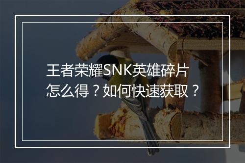 王者荣耀SNK英雄碎片怎么得？如何快速获取？