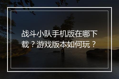战斗小队手机版在哪下载？游戏版本如何玩？