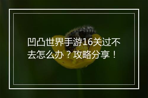 凹凸世界手游16关过不去怎么办？攻略分享！