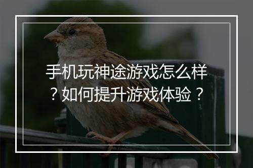 手机玩神途游戏怎么样？如何提升游戏体验？