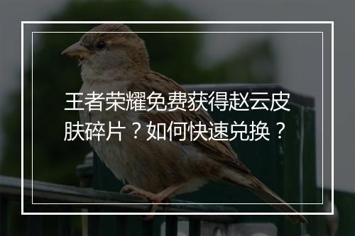 王者荣耀免费获得赵云皮肤碎片？如何快速兑换？