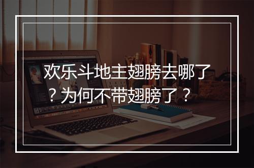 欢乐斗地主翅膀去哪了？为何不带翅膀了？