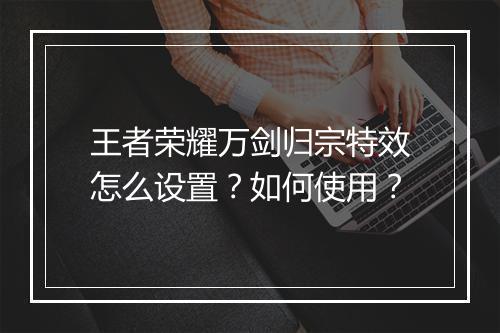 王者荣耀万剑归宗特效怎么设置?如何使用?