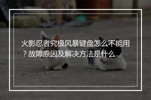 火影忍者究极风暴键盘怎么不能用?故障原因及解决方法是什么?