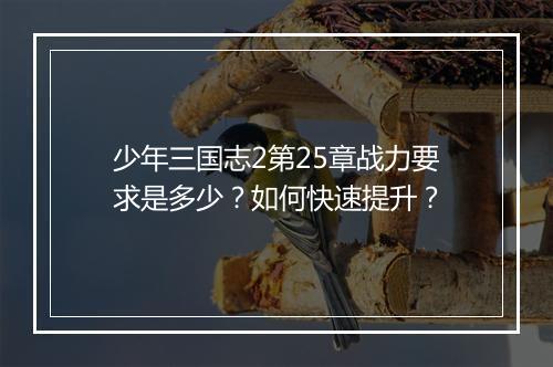 少年三国志2第25章战力要求是多少？如何快速提升？