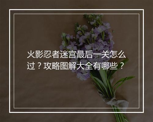 火影忍者迷宫最后一关怎么过?攻略图解大全有哪些?