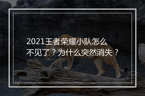 2021王者荣耀小队怎么不见了？为什么突然消失？