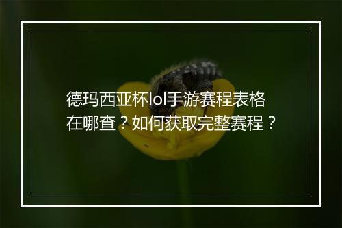 德玛西亚杯lol手游赛程表格在哪查?如何获取完整赛程?