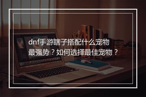 dnf手游瞎子搭配什么宠物最强势？如何选择最佳宠物？