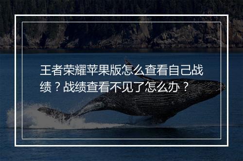 王者荣耀苹果版怎么查看自己战绩？战绩查看不见了怎么办？