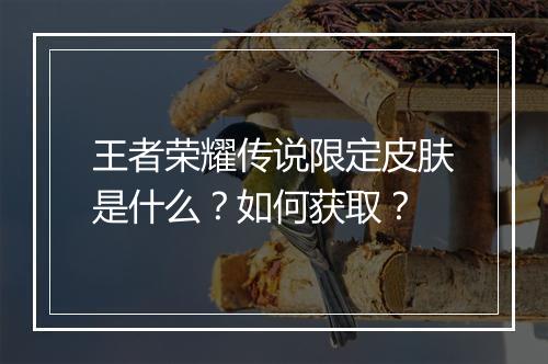 王者荣耀传说限定皮肤是什么？如何获取？
