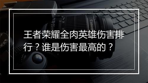王者荣耀全肉英雄伤害排行?谁是伤害最高的?