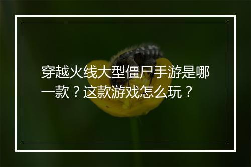 穿越火线大型僵尸手游是哪一款？这款游戏怎么玩？