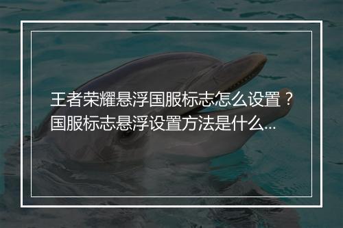 王者荣耀悬浮国服标志怎么设置？国服标志悬浮设置方法是什么？