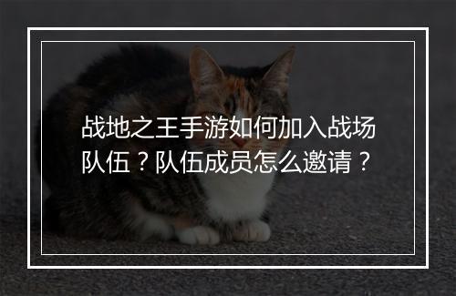 战地之王手游如何加入战场队伍？队伍成员怎么邀请？