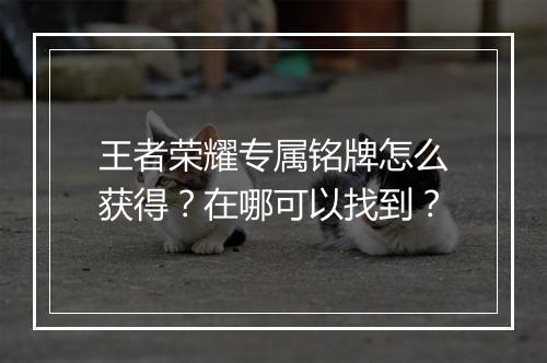 王者荣耀专属铭牌怎么获得？在哪可以找到？