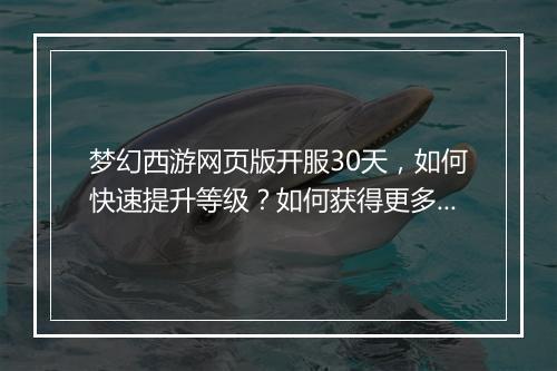 梦幻西游网页版开服30天，如何快速提升等级？如何获得更多经验？