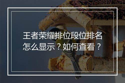 王者荣耀排位段位排名怎么显示？如何查看？