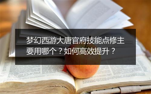 梦幻西游大唐官府技能点修主要用哪个？如何高效提升？