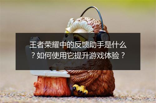 王者荣耀中的反馈助手是什么?如何使用它提升游戏体验?