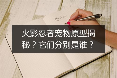 火影忍者宠物原型揭秘？它们分别是谁？