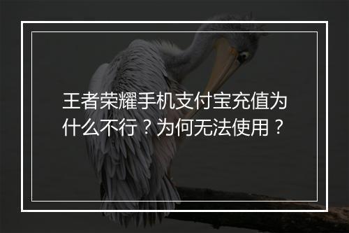王者荣耀手机支付宝充值为什么不行？为何无法使用？