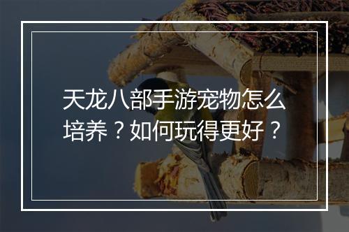 天龙八部手游宠物怎么培养？如何玩得更好？