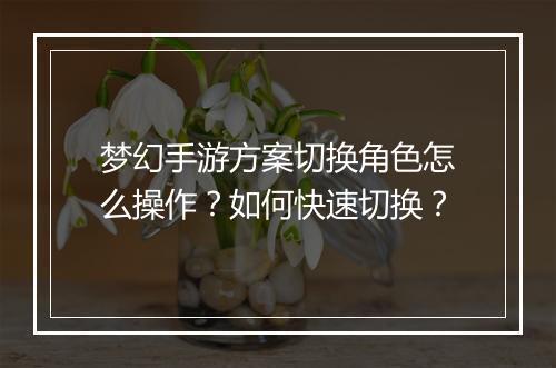 梦幻手游方案切换角色怎么操作？如何快速切换？