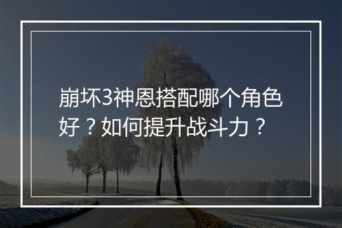 崩坏3神恩搭配哪个角色好？如何提升战斗力？